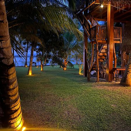Yala Elephant Cottage Tissamaharama Luaran gambar